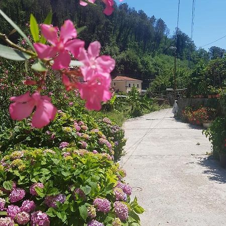马奥莱Casa Nonna Anna别墅 外观 照片