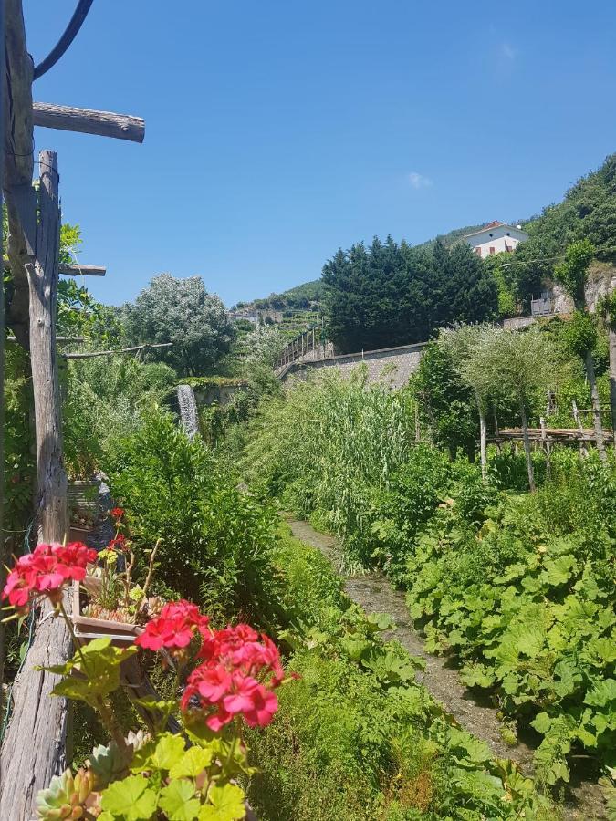 马奥莱Casa Nonna Anna别墅 外观 照片