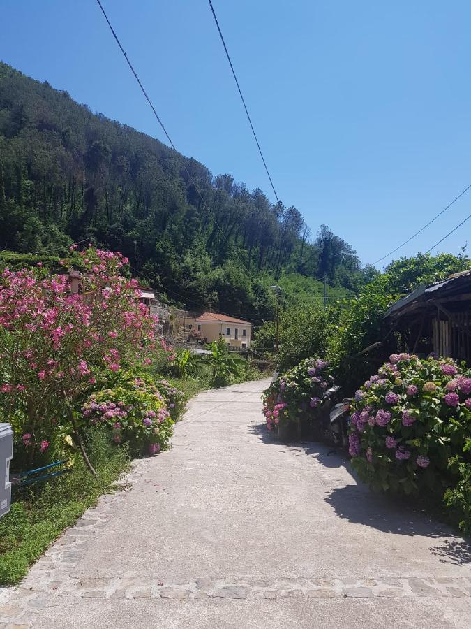 马奥莱Casa Nonna Anna别墅 外观 照片