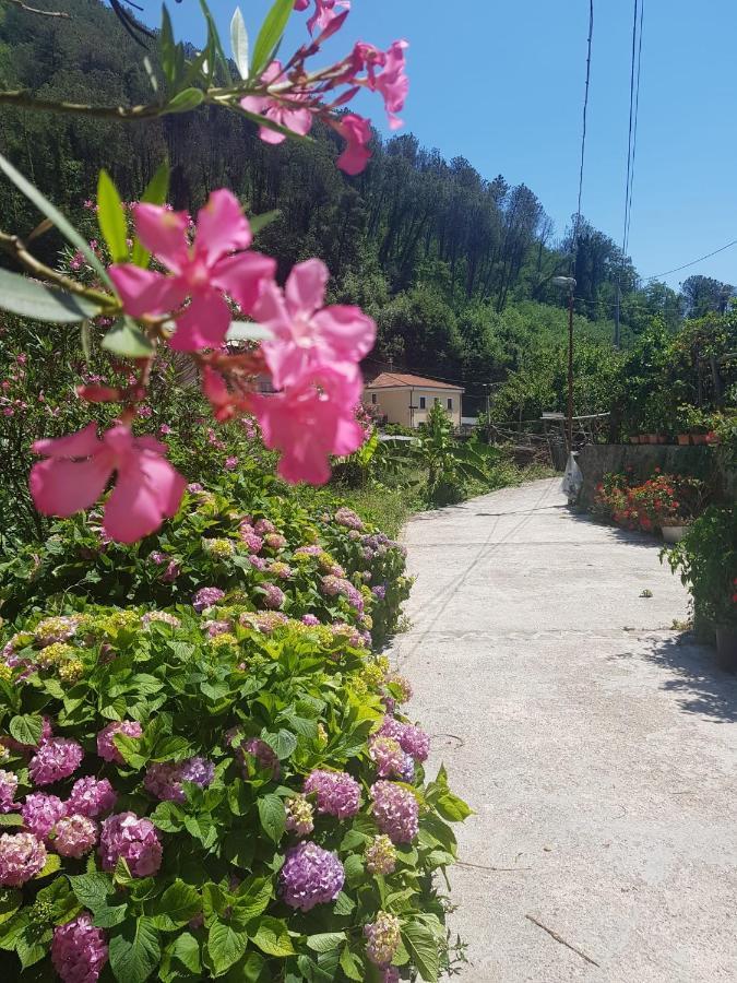 马奥莱Casa Nonna Anna别墅 外观 照片