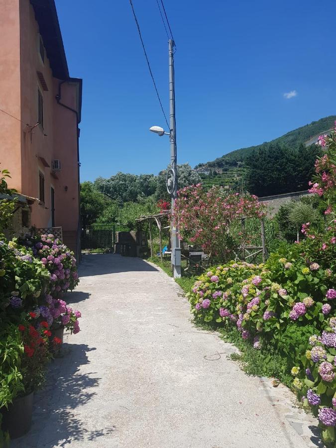 马奥莱Casa Nonna Anna别墅 外观 照片